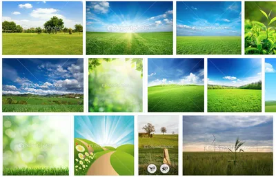 Depositphotos
