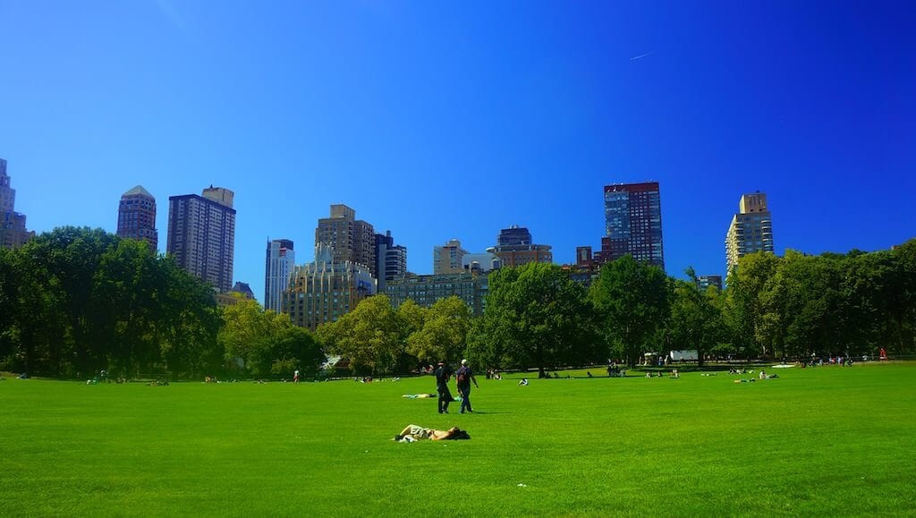meadows