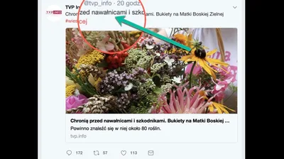 Gdy półgłówek czyta nagłówek. Lud wpadł w histerię wiązankową i znowu nie ma racji