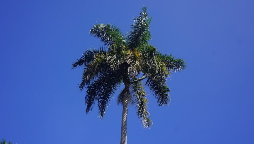 DSC01571