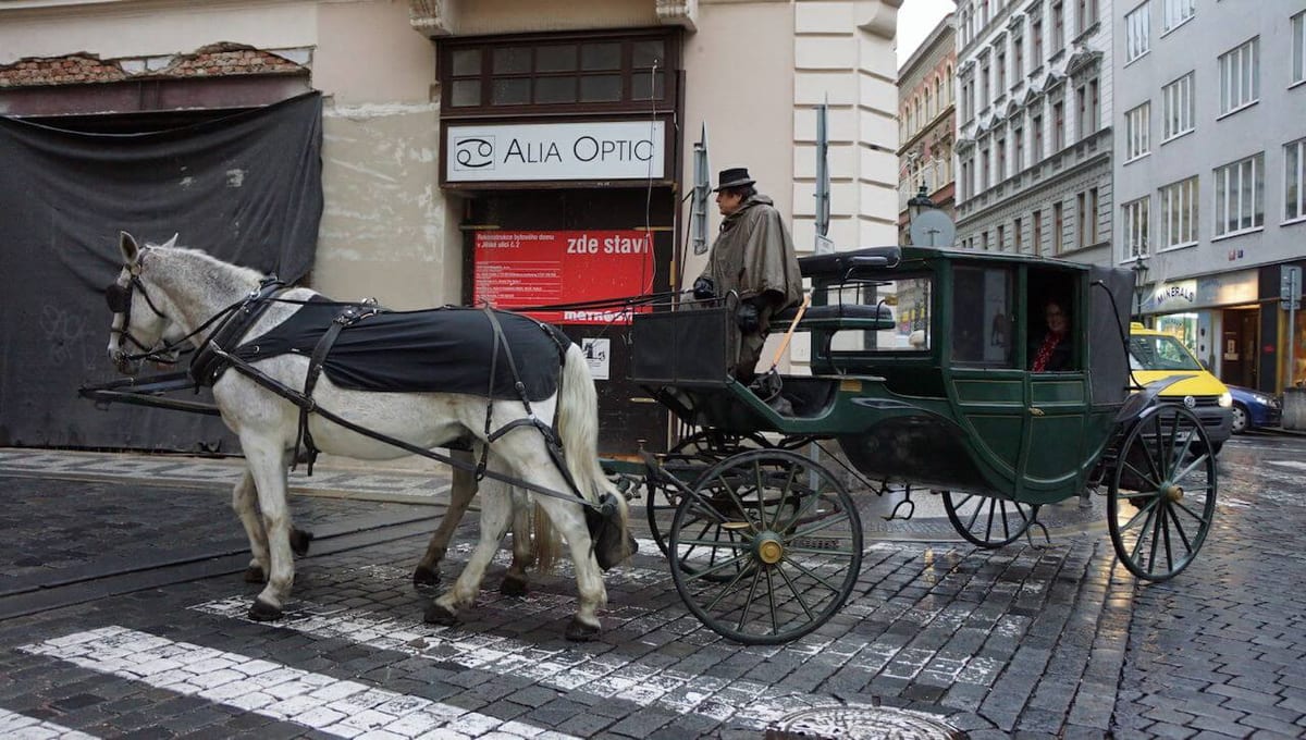konik praga