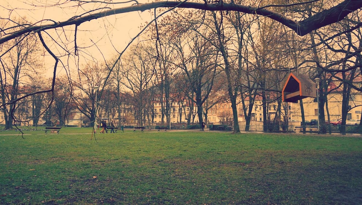 pole praga