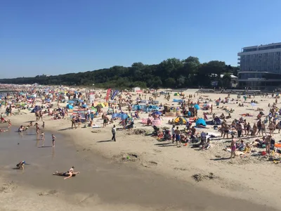Komu te parawany przeszkadzają, co?
