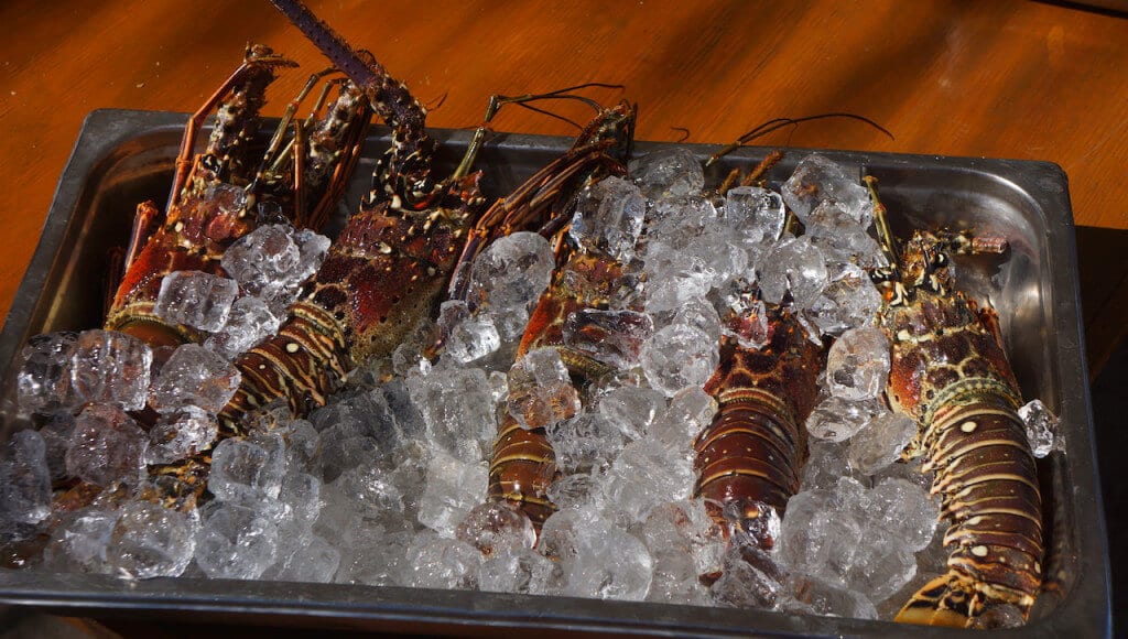 obiad-dominikana-restauracja