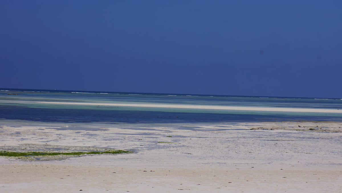 DSC09741