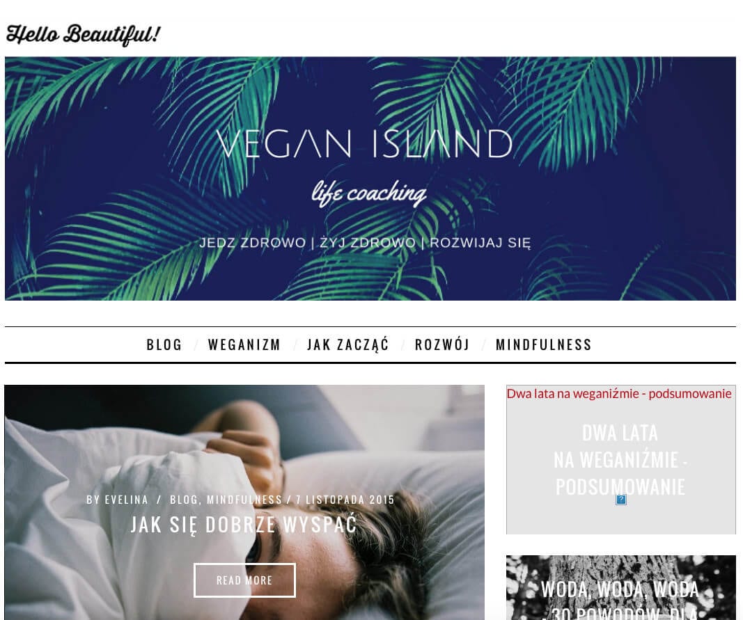 Vegan Island | Blog o weganiźmie i samorozwoju. 2016-01-18 13-37-03