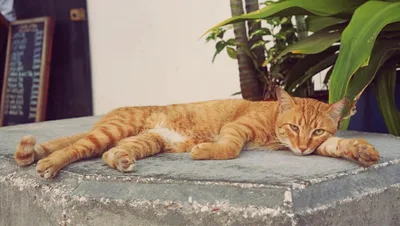 SundayPhoto #7 - 20 zdjęć z Instagrama i niepublikowane ciekawostki