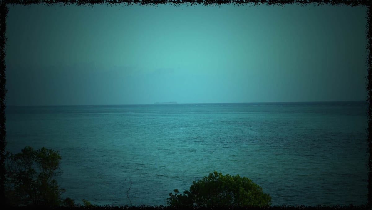 DSC09826_Fotor