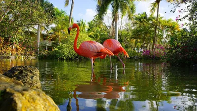 Zwyczajny dzień na Punta Cana
