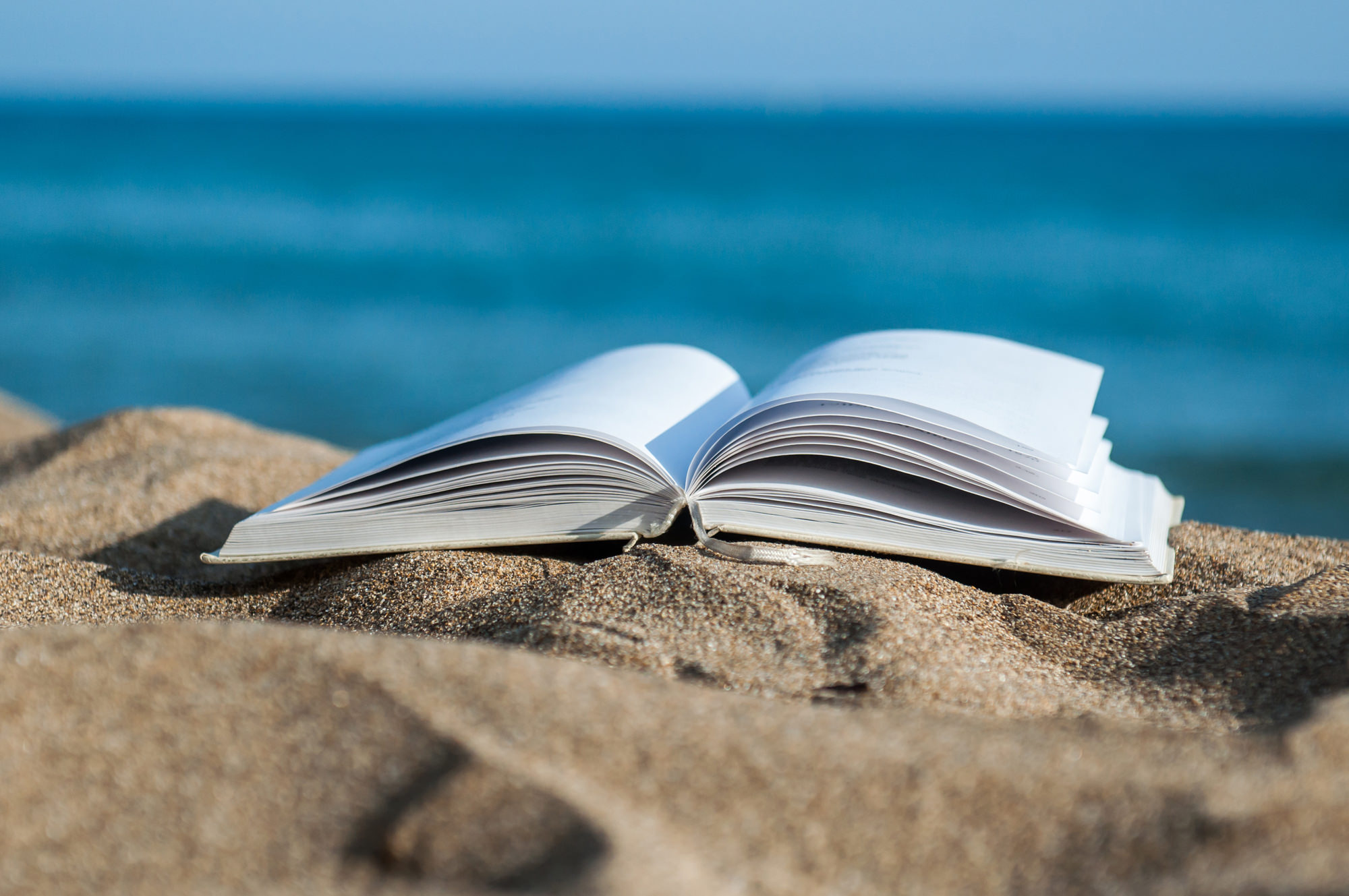 My summer book. Книга на берегу моря. Книга море. Чтение на пляже. Книга на фоне моря.